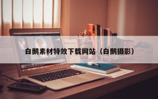 黄冈白鹅素材特效下载网站（白鹅摄影）